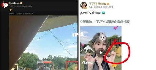 顶流网红爆料视频大全最新,视频大全背后的惊人真相  第2张